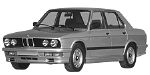 BMW E28 P1A19 Fault Code