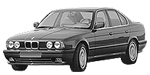 BMW E34 P1A19 Fault Code